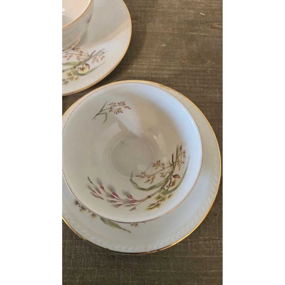 Winterling Bavaria Germany Tea Cup and Saucer Set of 3 Floral Gold Trim China
